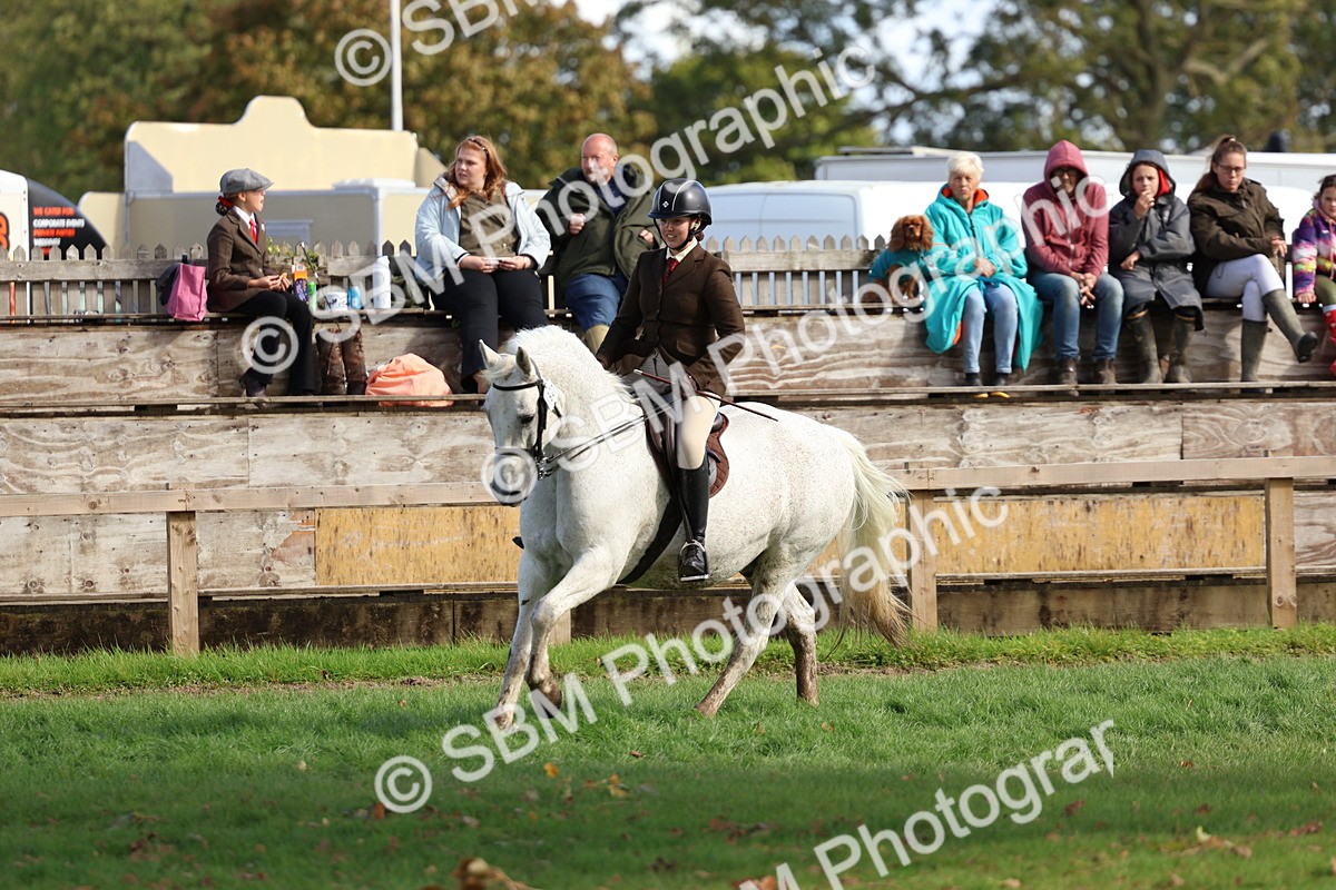 SBM_47770 - S28 - Veteran Ridden