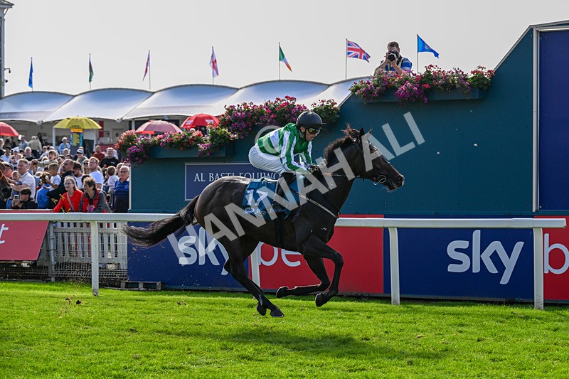 060926-Race 4-Stoneacre Donny-0284 - Race 4 3.15pm Saltmoore Collection Handicap