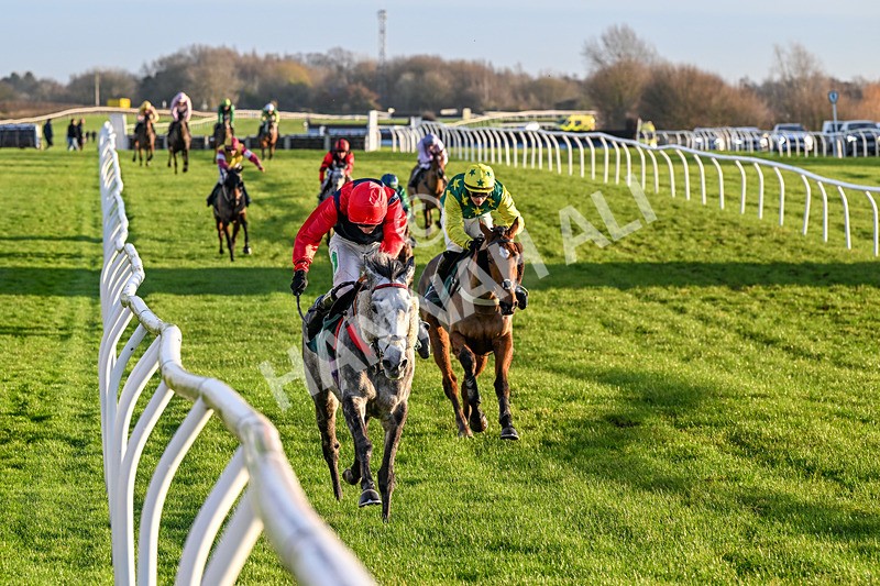 161225-Race 5-Somebodycomegether-8869 - Race 5