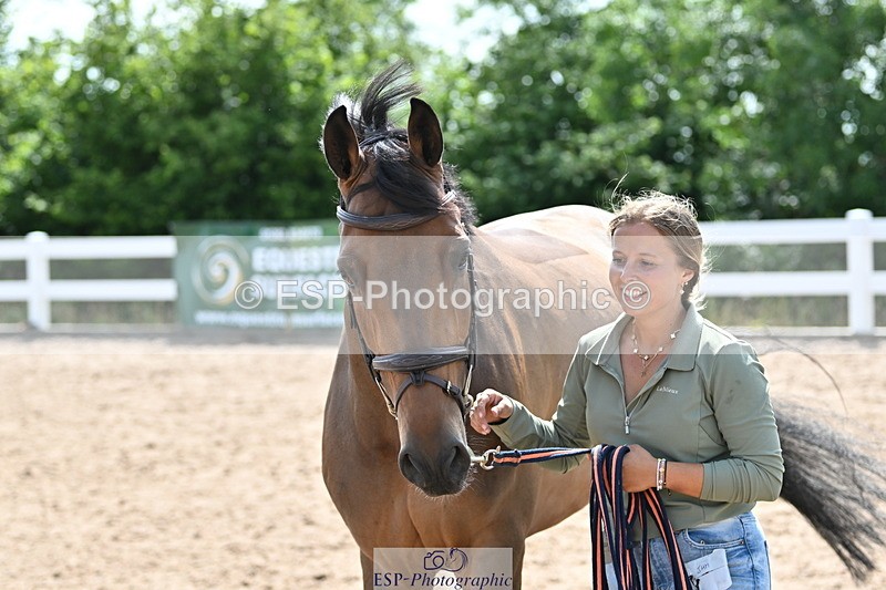 240717A-154956-03079 - Trot Up 3pm to 4pm