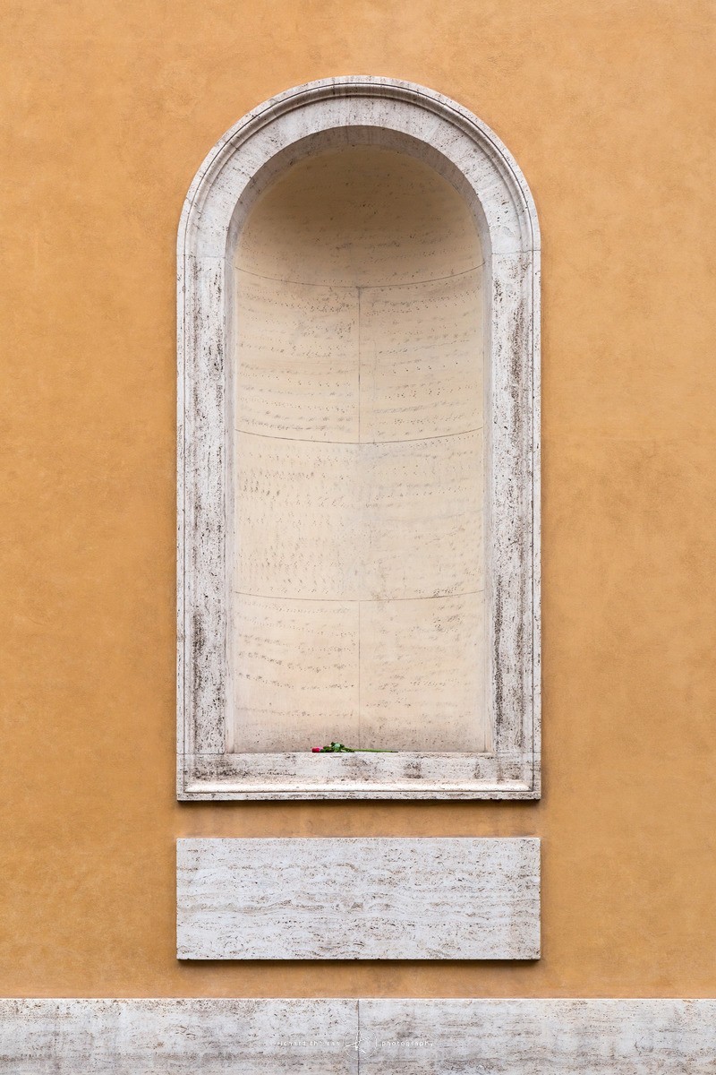 Red Roses in Rome - Roman Walls