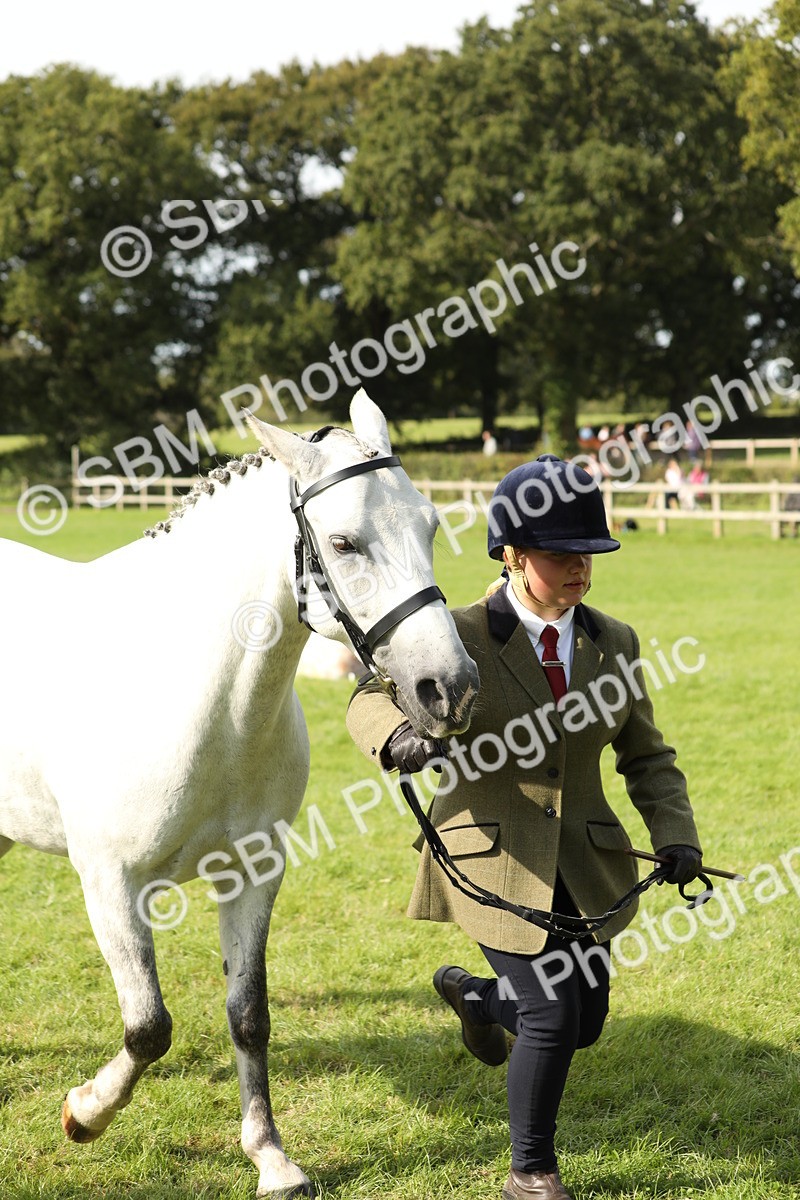 SBM_68625 - S40 - Junior Handler 9-12 Years