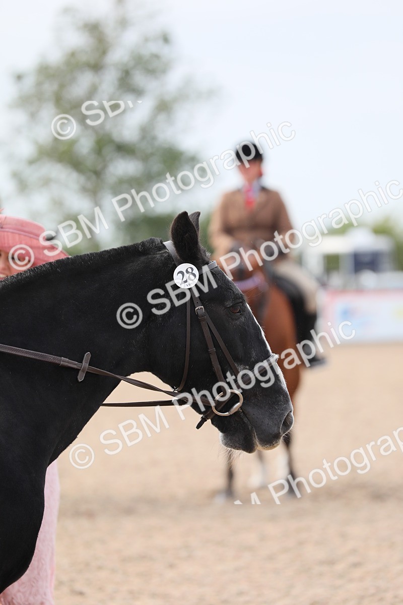 SBM_17016 - Class 314 Family Horse/Pony