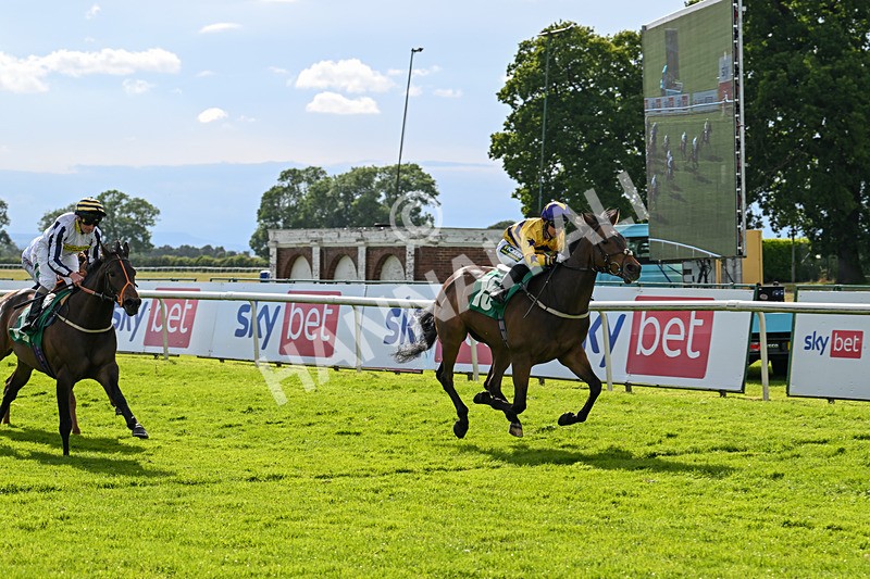 160624-Race 5-American Affair-8975 - Race 5