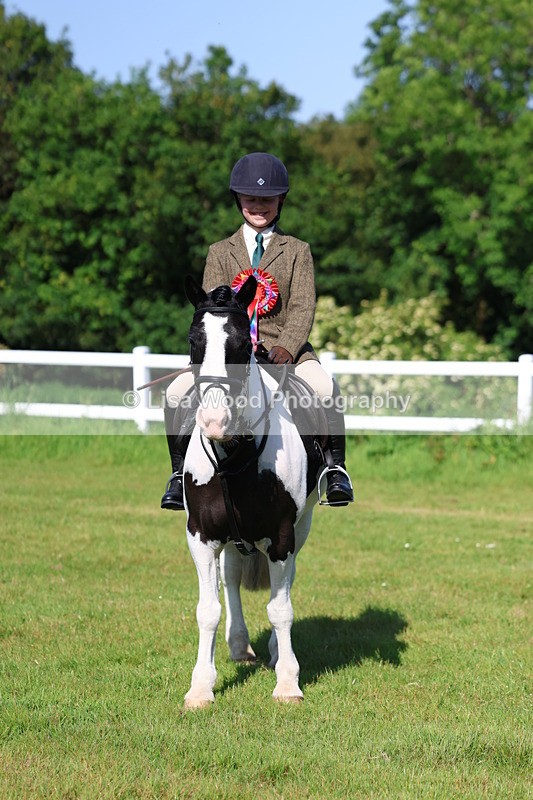 3E7A6034 - Class 27: Novice Working Hunter Pony