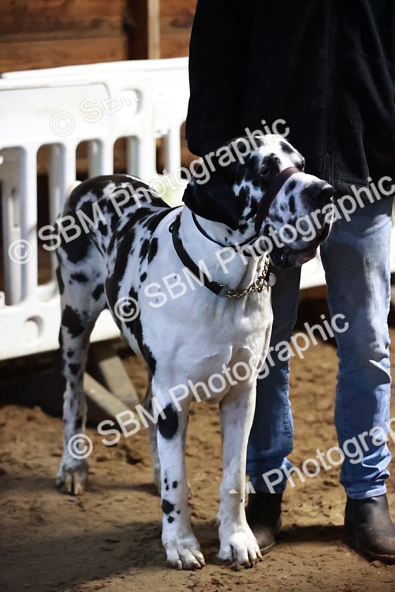 SBM_002333 - Class 5 - 80cm