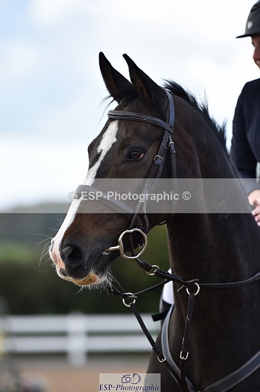 231014A-145250-05362 - Cls 15 1.05m Amateur Q 2nd R