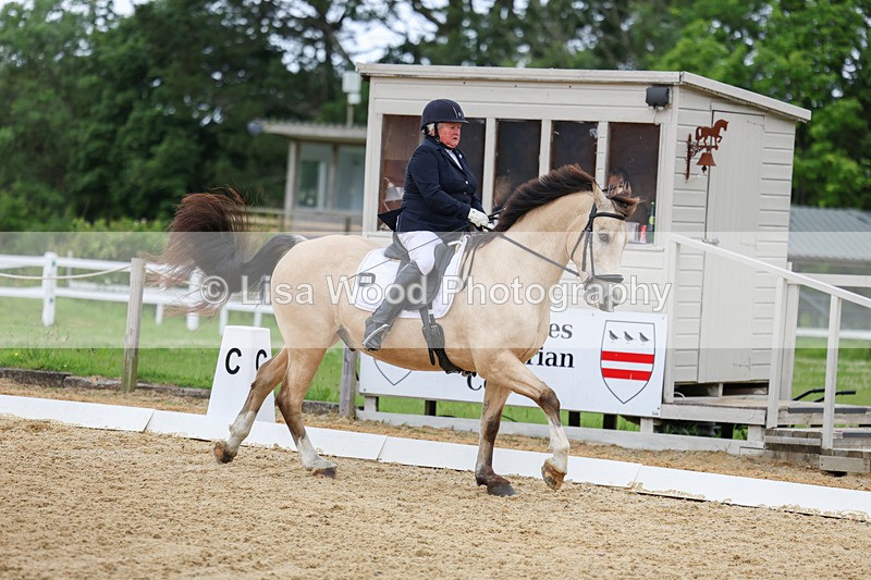 3E7A0933 - Class 7: Elementary 1 2024