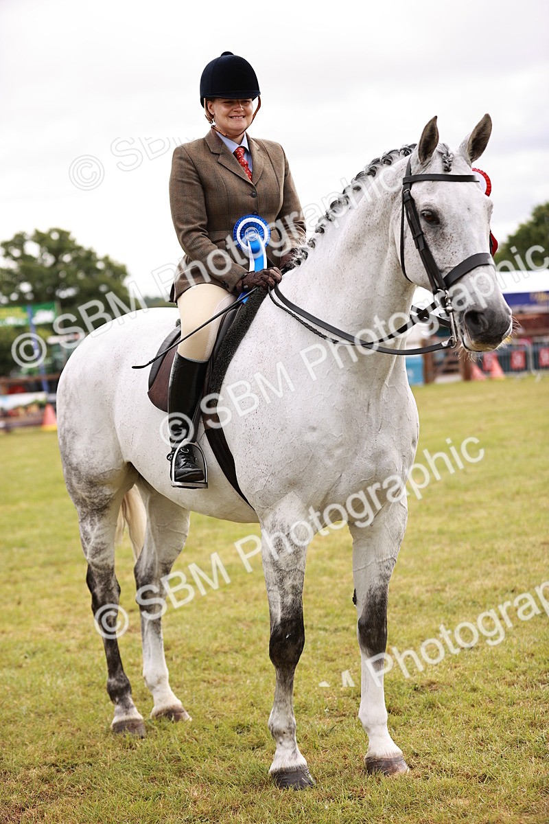 SBM_11579 - Class 81-84 - RIHS Ridden hunters Inc Ladies Hunter