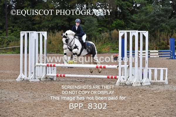 BPP_8302 - CLASS 2 Club/ Unaffiliated 70cms Open