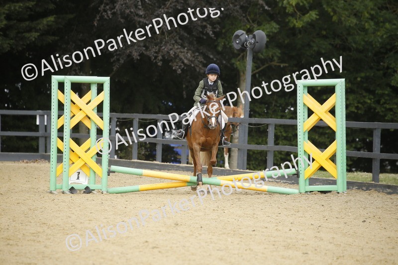 20250622-1500 - 40cm