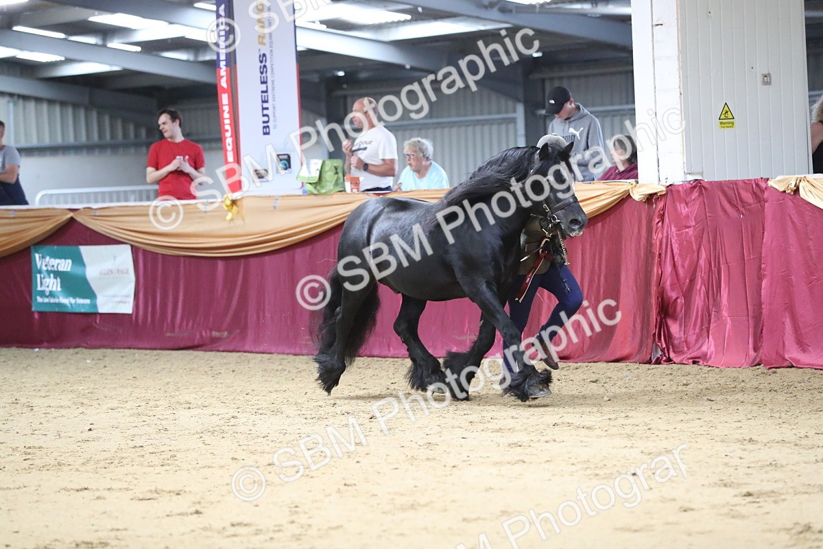 SBM_05071 - Class 8R- Regional -IH Veteran