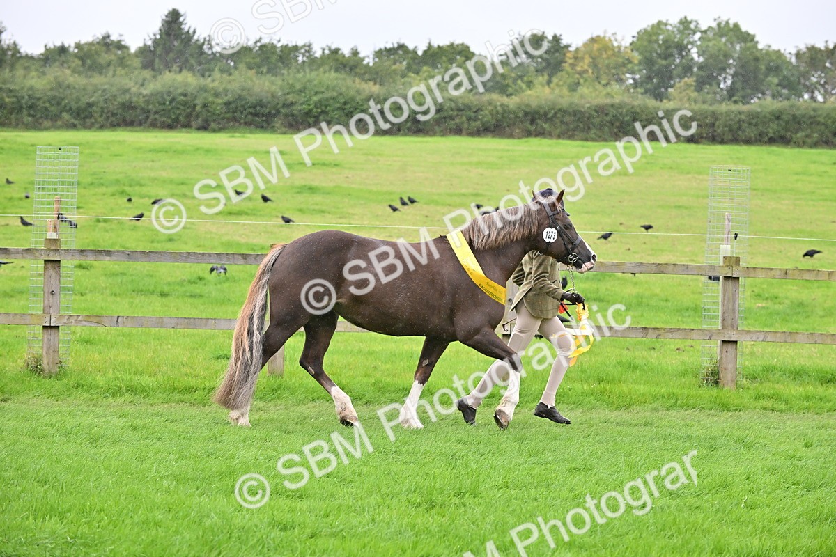 SBM_68661 - S42 - Junior Handler 9-12 Years