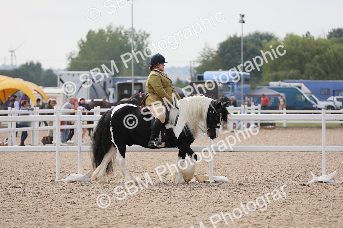 SBM_12653 - Class 307 Ridden Coloured Pony