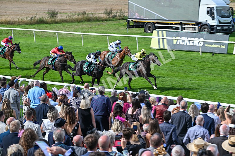 050926-Race 2-This Moment-2783 - Race 2 2.05pm JW4X4 Northallerton Nursery Handicap