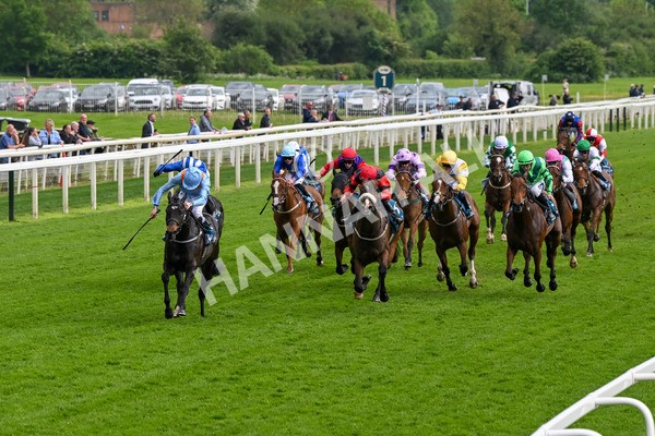 150524-Race 5-Diligent Resdev-4388 - Race 5 4.15pm Conundrum HR Consulting Handicap