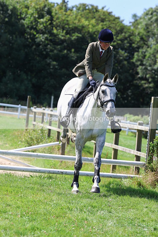 3E7A8590 - Class 5: Working Show Horse