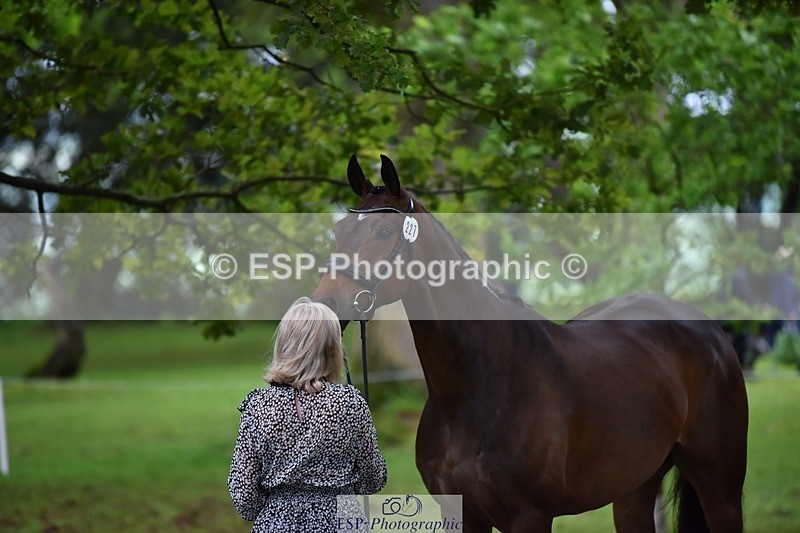 240522-165348-01235 - 227-FIREBALL_III-Oda_Christine_Lippestad