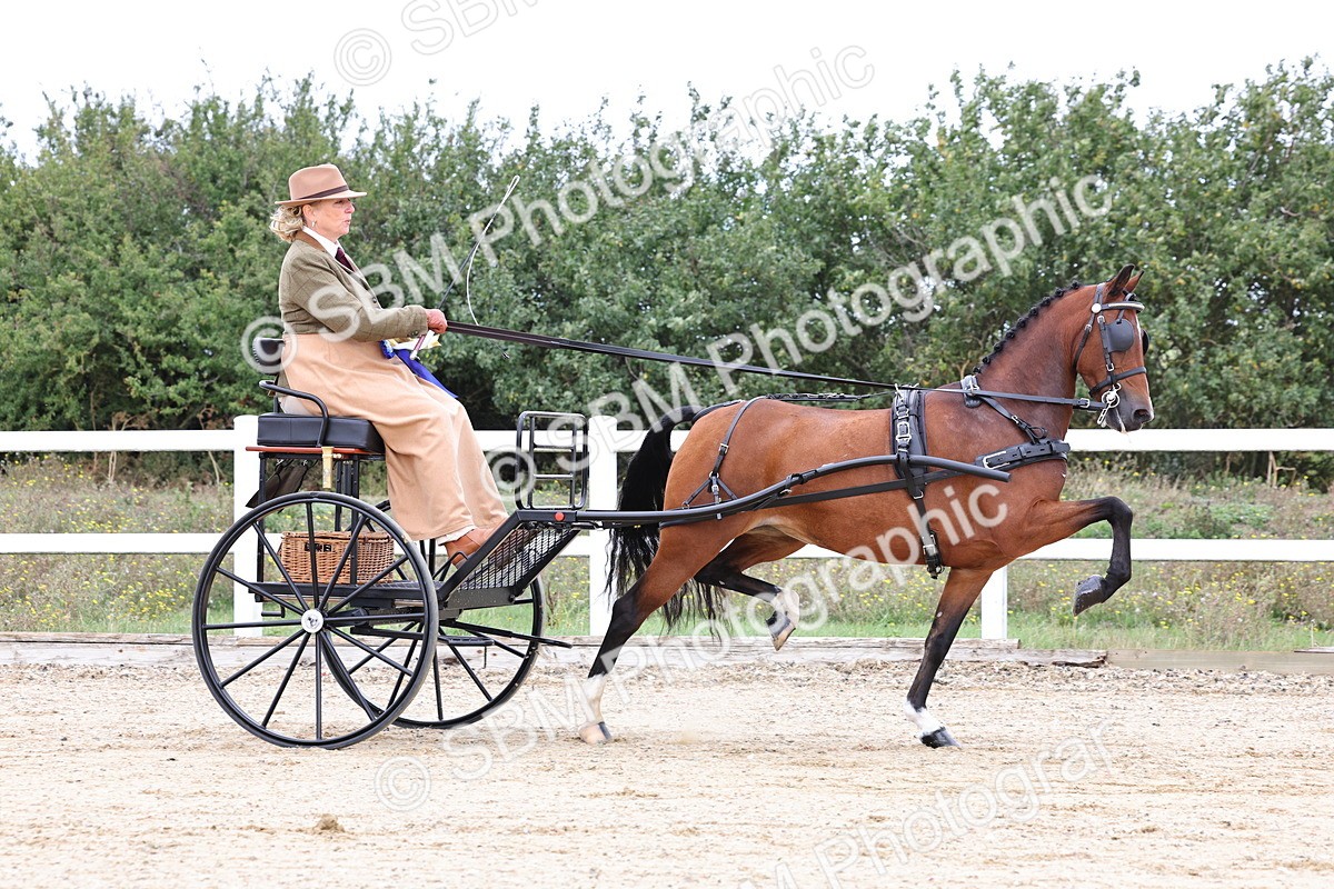 SBM_000346 - Class 2 - Exercise Vehicle 13.2hh & Under