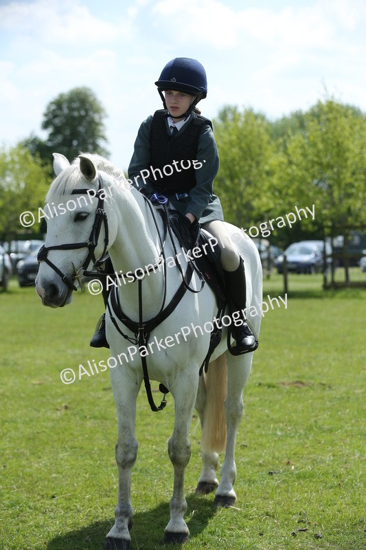 20250427-3448 - Class 8 - Handsomest Gelding