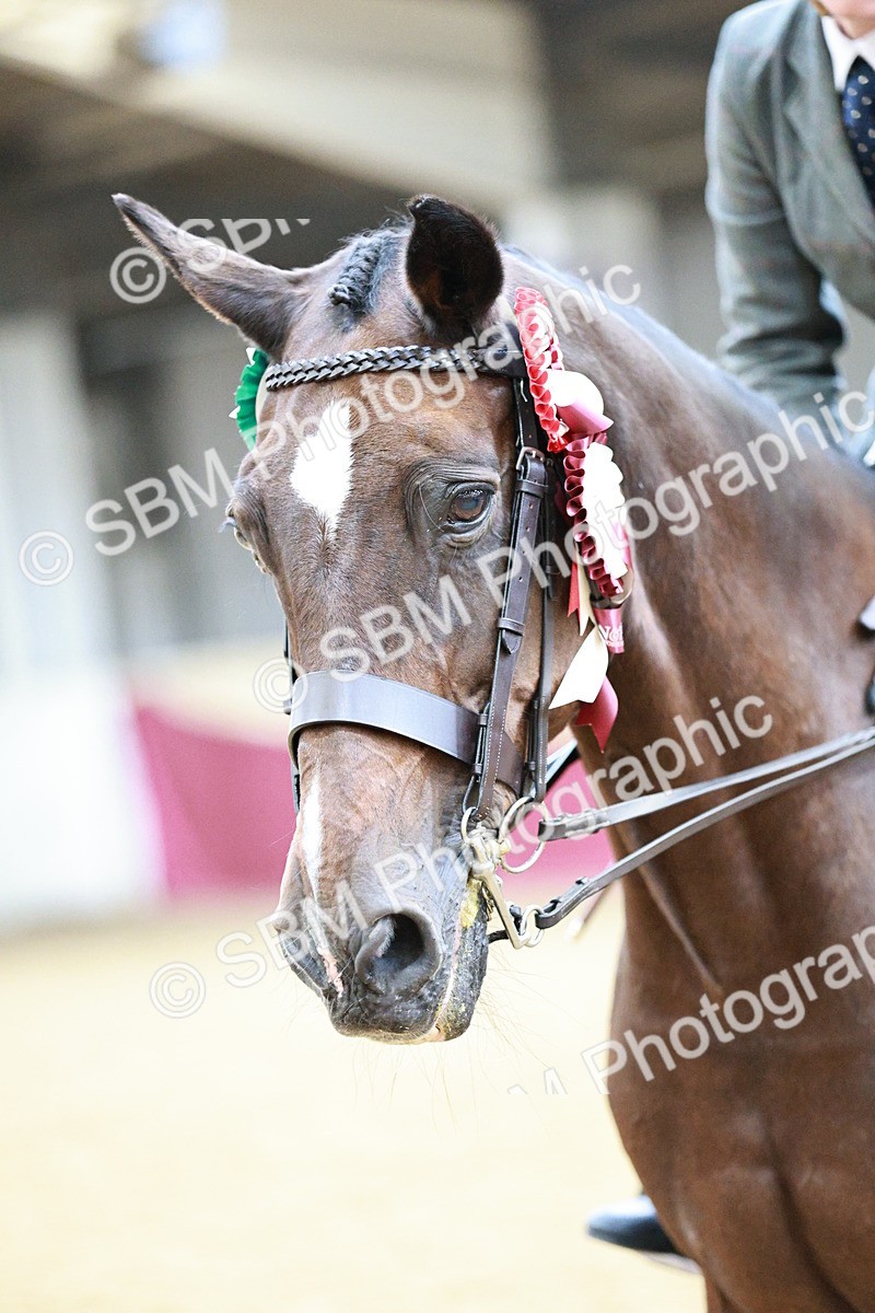 SBM_02310 - Class 4A - Area Ridden Diamond