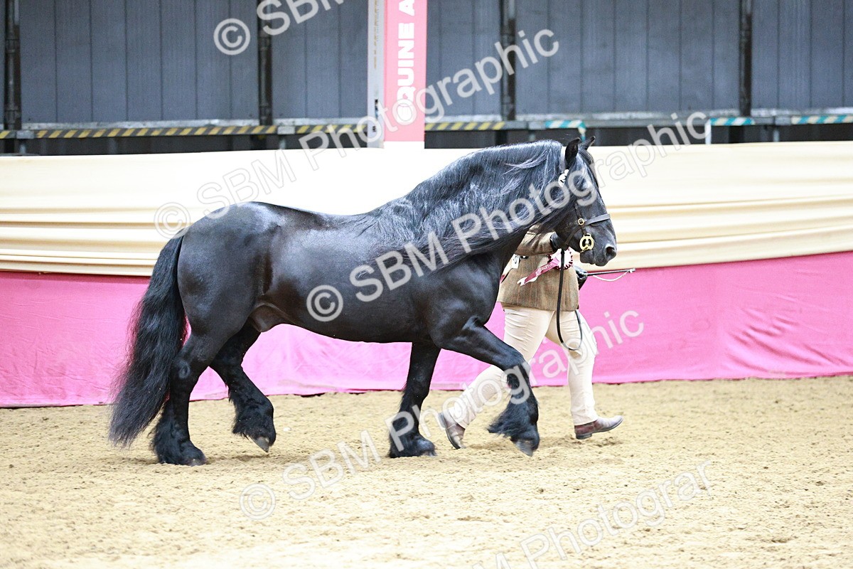 SBM_01099 - Class 2A - Area IH Veteran
