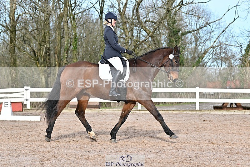 250125-124928-00497 - Dressage - CT Class 6 BE102
