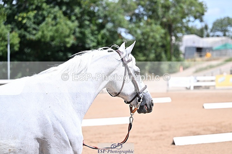 250716-123341-00050 - Trot Up 12.30 to 1.30
