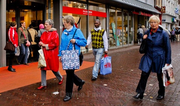  - Dordrecht - a closer look