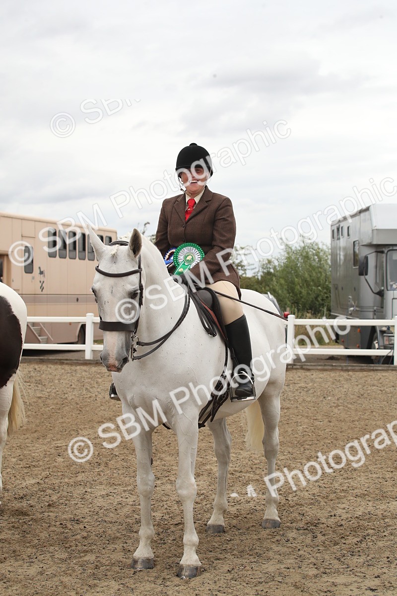 SBM_18317 - Class 509a - Working Veteran - 80cm (15-19)