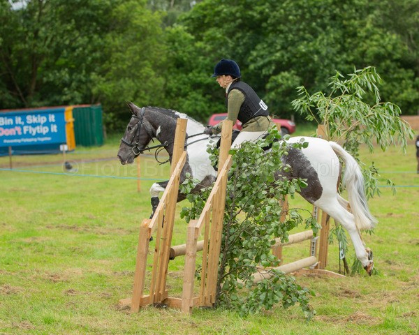 Dunblane show-186 - Dunblane and Doune Show Ring 1