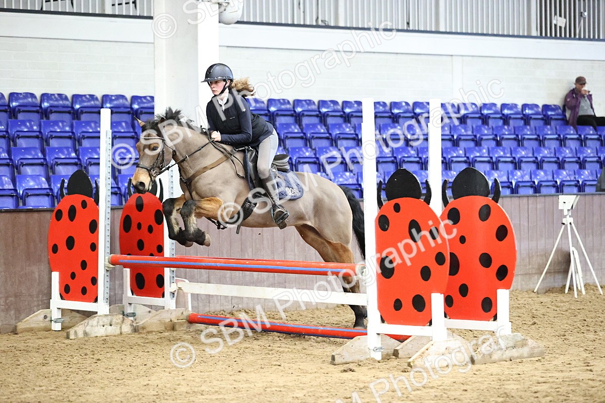 SBM_001482 - Class 9 - Pony British Novice 80cm