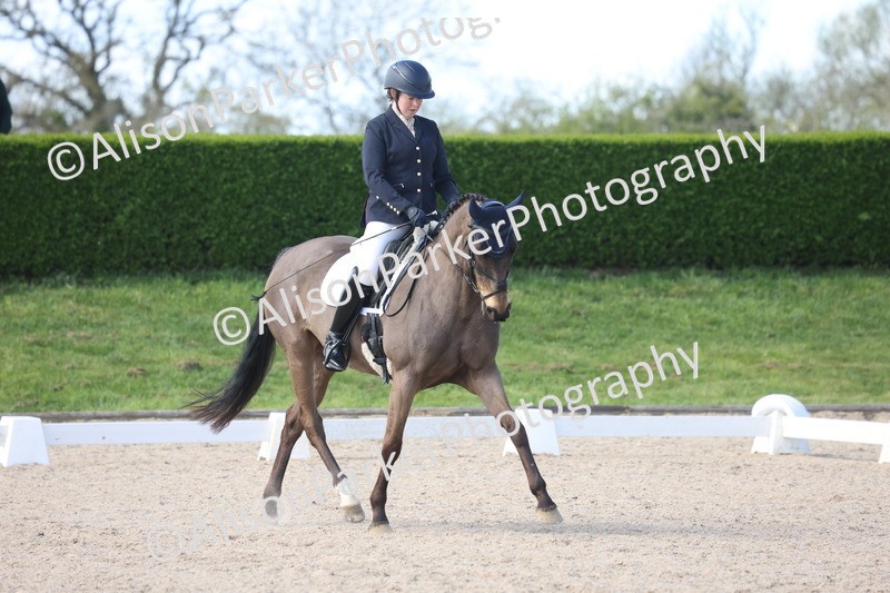 20260405-0485 - Class 5 - Elementary 5