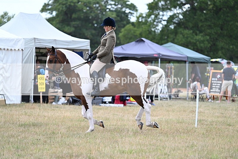 WJ7_5198 - Class 12 Ridden Cob