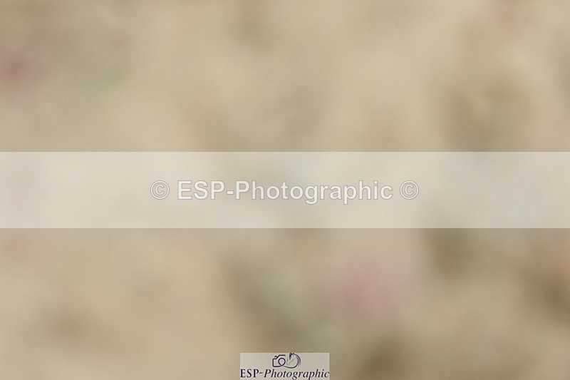 230702A-123401-09314 - Cls 29 Elementary 57