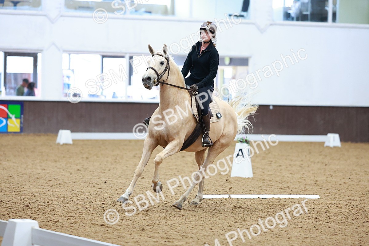 1I0A0636 - Class 3-6 - Prelim 1-Novice 2