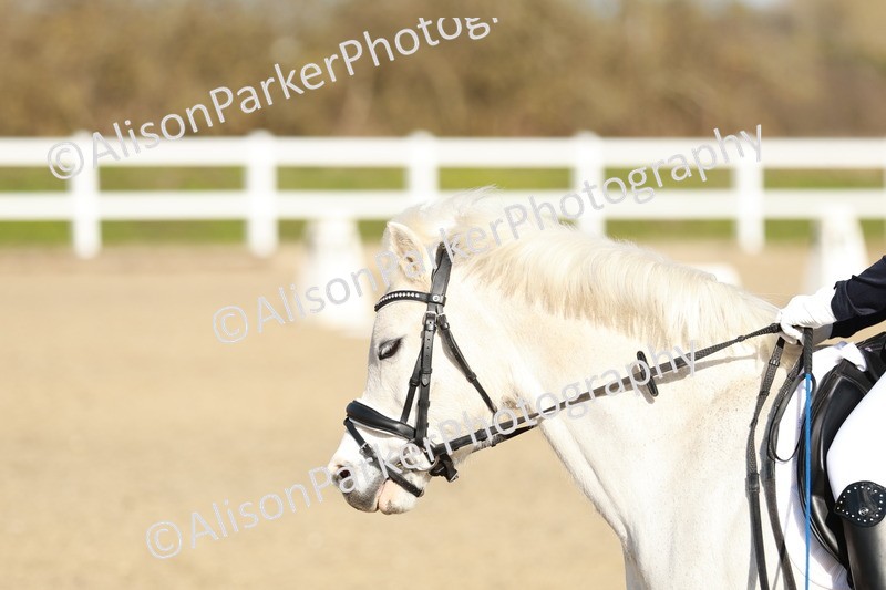 20260314-4517 - DR4 - Prelim 2