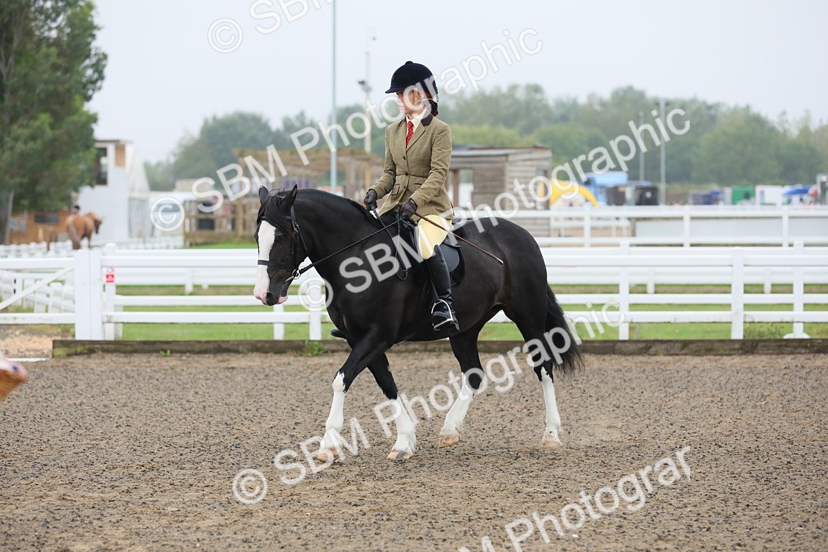 SBM_19943 - Class 801 - Ridden Veteran