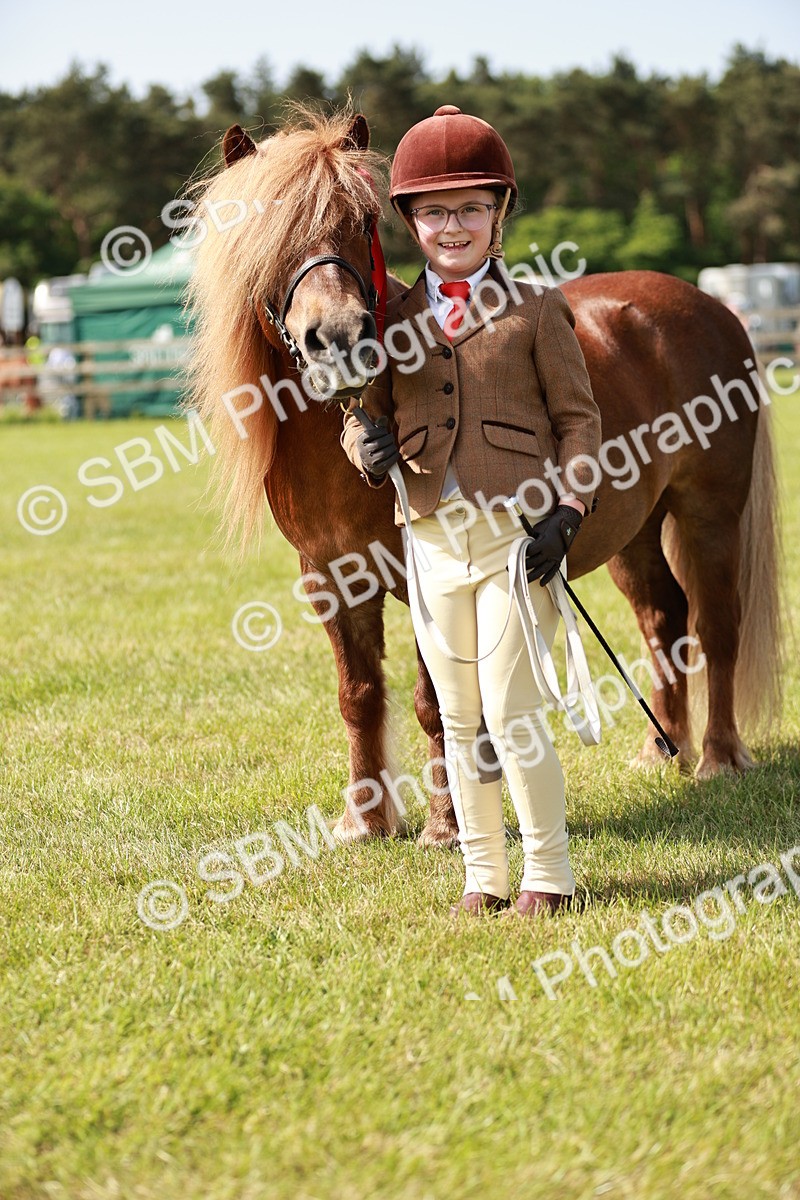 SBM_01853 - Class 14-23 - Mountain & Moorland In Hand Non Welsh