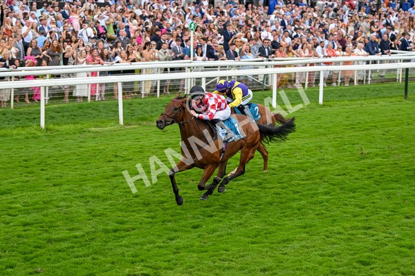 270724-Race 6-Ziggy-7528 - Race 6 5.10pm Sky Bet, For The Fans Handicap