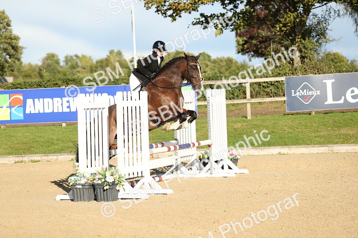 SBM_11486 - J37 - Veteran Rider 75cm