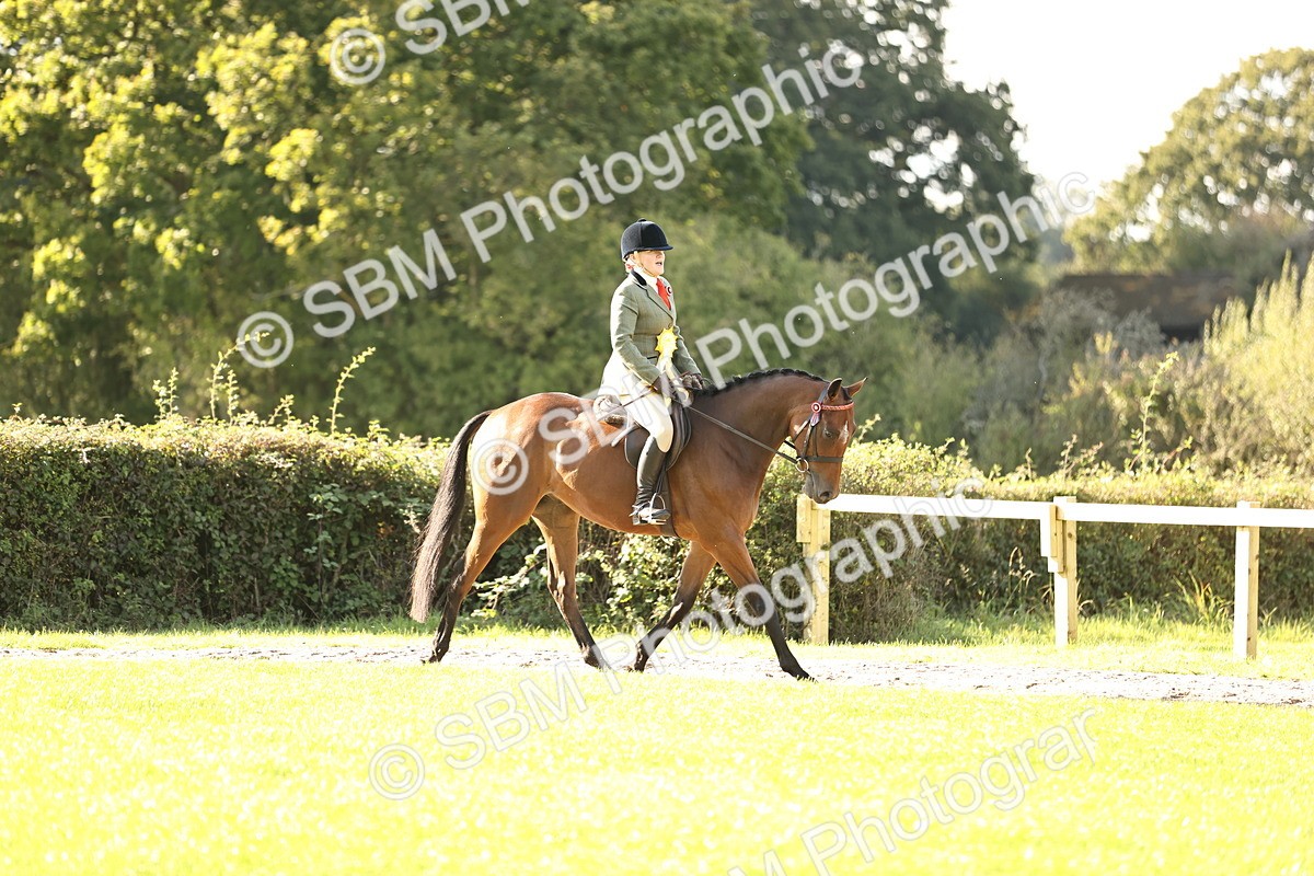 SBM_26519 - S6 - Novice & Newcomers Ridden Horse