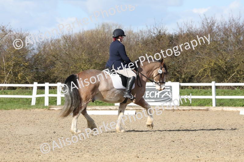 20260314-4999 - CT6 - Elementary 1