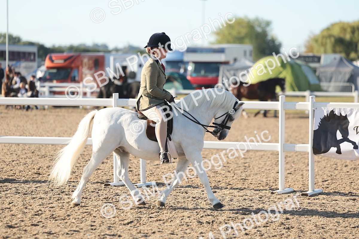 SBM_10886 - Class 301 - Ridden M&M Small Breeds