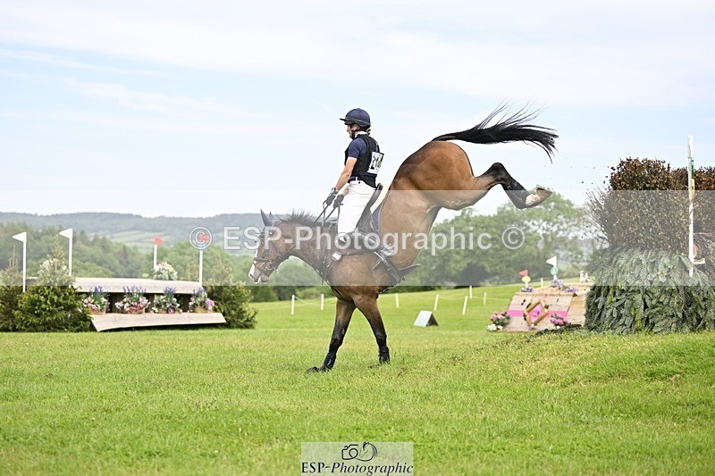 240525-151032-16706 - 214-DSH_GOLDEN_EYE-Lucinda_Mesquita