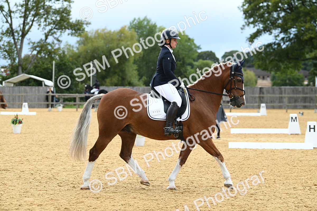 SBM_09907 - D15 Small Tour Championship Novice 24