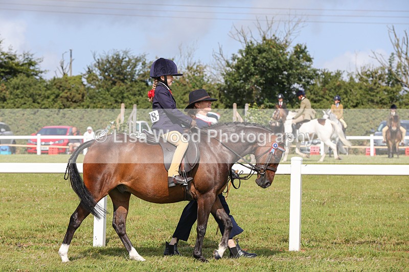 1X9A3557 - Class 29: Lead Rein SP/SHP