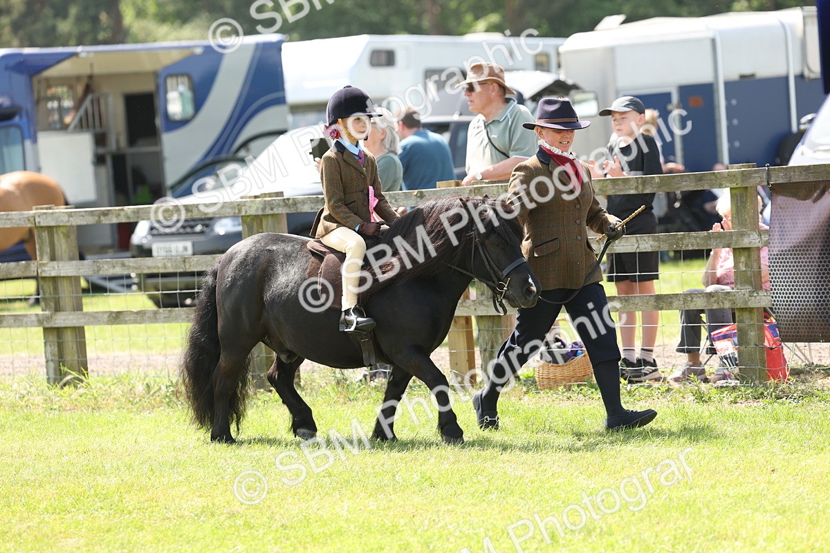 SBM_05308 - Class 24-25 - Mountain & Moorland In Hand Lead Rein and First Ridden