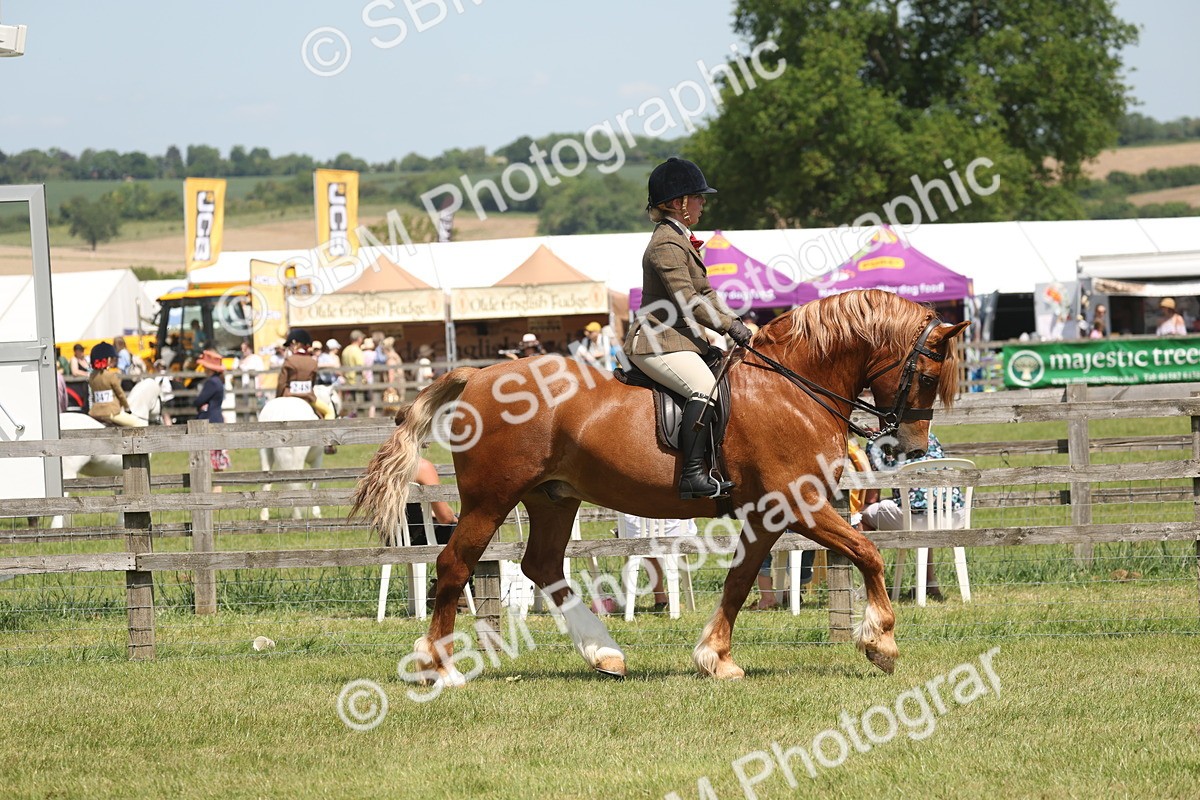 SBM_06895 - Class 26-30 - Mountain and Moorland Ridden