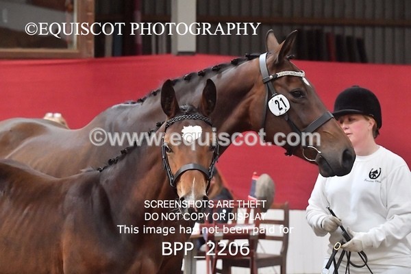 BPP_2206 - AFTERNOON 12.30 - 3.30PM